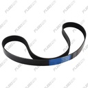 Heavy Duty D13 Fan Belt - 10-Rib 24171422 22690514 Mack MP8