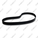 OEM Fan Belt 10-Rib, Cascadia DD13/DD15 (01-35625-529) - photo 4
