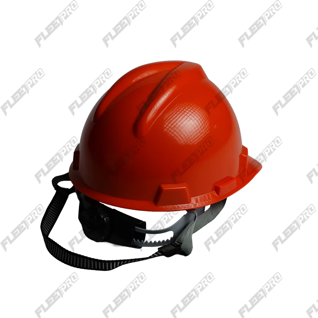 PANA7544.webp