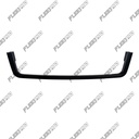 Center Bumper Trim Black, Cascadia 2018-2025 (Premium)