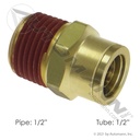 Brass PLC Male Connector 1/2 X 1/2in